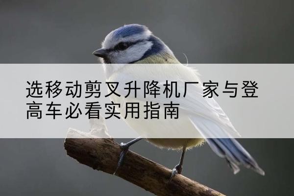 承德电动升降机厂家-选移动剪叉升降机厂家与登高车必看实用指南