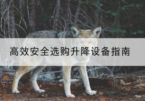 承德升降货梯厂家推荐-*安全选购升降设备指南